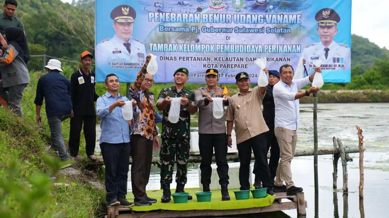 pj-gubernur-sulsel—ketua-tp-pkk-sofha-marwah-bahtiar-tebar-benih-udang-vaname,-tanam-pisang-cavendish