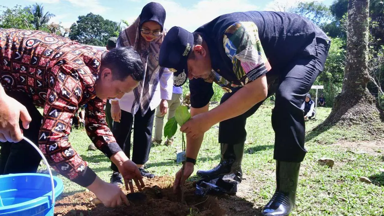 selain-ikan-bandeng,-pangkep-diharapkan-jadi-penghasil-nangka-madu