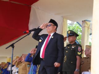 DR .H .HARMIN RAMBA S. E. MM MENGHADIRI UPACARA HARI ULANG TAHUN KECAMATAN PURIALA KE 20 TAHUN