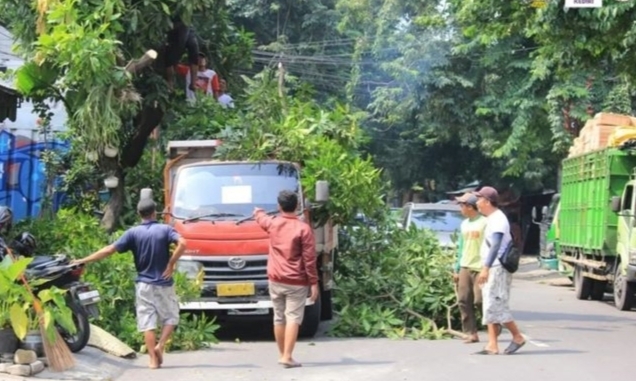 dlhkp-kota-kediri-rutin-lakukan-pemangkasan-antisipasi-pohon-tumbang.