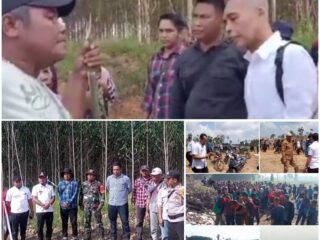 Terkait Gejolak Warga Desak PT. Arara Abadi Kembalikan Lahan107,1 Hektar, Ini Penjelasan Humas Arara Abadi Duri II