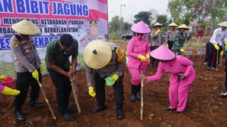 Dukung Ketahanan Pangan, Kapolres Pamekasan didampingi Ibu Ketua Bhayangkari Secara Simbolis Tanam Jagung di Desa Ponteh