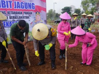 Dukung Ketahanan Pangan, Kapolres Pamekasan didampingi Ibu Ketua Bhayangkari Secara Simbolis Tanam Jagung di Desa Ponteh