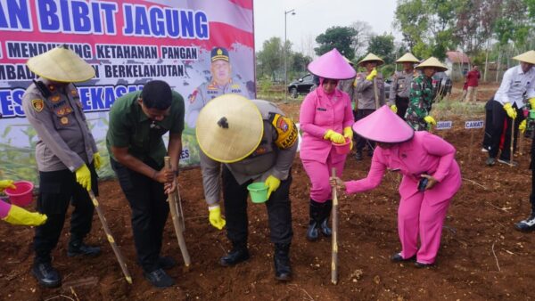 Dukung Ketahanan Pangan, Kapolres Pamekasan didampingi Ibu Ketua Bhayangkari Secara Simbolis Tanam Jagung di Desa Ponteh