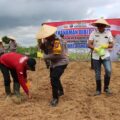 Polres Pamekasan Sinergi Dengan Pemdes Bajang Kecamatan Pakong, Wujudkan Ketahanan Pangan Dengan Memanfaatkan Lahan Tidur.