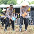 Kapolres Pamekasan Penanaman Jagung Serentak 1 Juta Hektar, Bentuk Komitmen Bersama Forkopimda Pamekasan