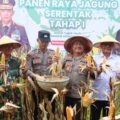 Dukung Ketahanan Pangan Nasional, Polres Pamekasan Panen Raya Jagung di Desa Ponteh