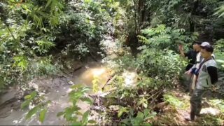 Diduga Limbah PT BL Sudah Cemari Kebun Warga Lebih Dari Satu Tahun