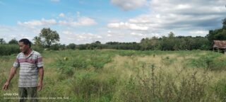 *Berharap ada perhatian Dari bupati dan wakil bupati lahat Tangis Petani Desa Muara Temiang, Puluhan Hektar Sawah Milik Mereka Tidak Bisa Ditanami dan Terbengkalai Selama Satu Tahun*