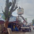 Atas Laporan Masyarakat , DLH Dan Dishub Kabupaten Labuhanbatu Tebang Pohon Rawan Tumbang