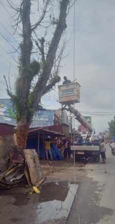 Atas Laporan Masyarakat , DLH Dan Dishub Kabupaten Labuhanbatu Tebang Pohon Rawan Tumbang