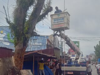 Atas Laporan Masyarakat , DLH Dan Dishub Kabupaten Labuhanbatu Tebang Pohon Rawan Tumbang
