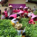 Program Ketahanan Pangan, Kapolres Pamekasan Bersama PJU dan Ibu Ketua Bhangkari Panen Lele dan Tanaman Holtikultura 
