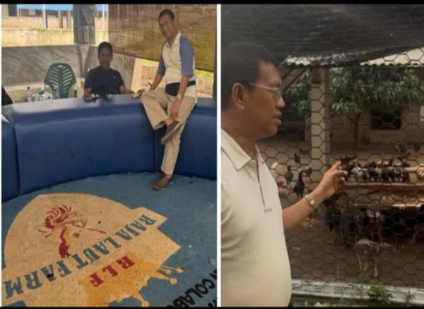 Pemerhati Jakarta Tegaskan Raja Laut Farm (RLF) Bukan Tempat ‘Judi Sabung Ayam’