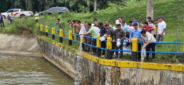 Bupati Gus Irawan Target Tapsel Swasembada Ikan