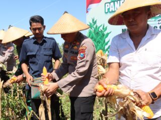 Polres Pamekasan Gelar Panen Raya Jagung Serentak Kuartal II, Dukung Swasembada Pangan Tahun 2025