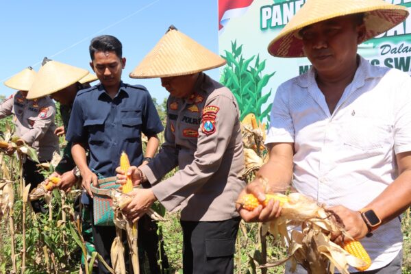 Polres Pamekasan Gelar Panen Raya Jagung Serentak Kuartal II, Dukung Swasembada Pangan Tahun 2025