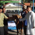 Bentuk Kepedulian, Polres Pamekasan Salurkan Daging Kurban di Hari Raya Idul Adha 1446 H/2025