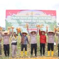 Perkuat Ketahanan Pangan Pemkab Tapsel  Mengelar Panen Raya Jagung