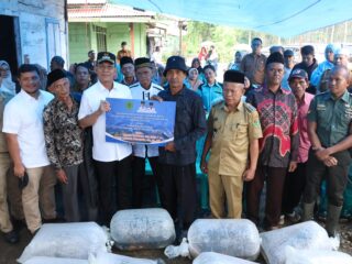 Pemkab Tapsel Di Tengah Efisiensi Anggaran 300O Ekor Benih Ikan Mas Salurkan  Di Desa  Lancat Julu Kec .Arse