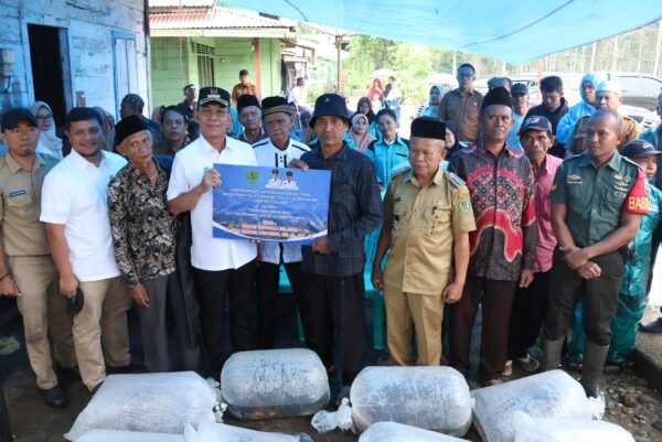 Pemkab Tapsel Di Tengah Efisiensi Anggaran 300O Ekor Benih Ikan Mas Salurkan  Di Desa  Lancat Julu Kec .Arse