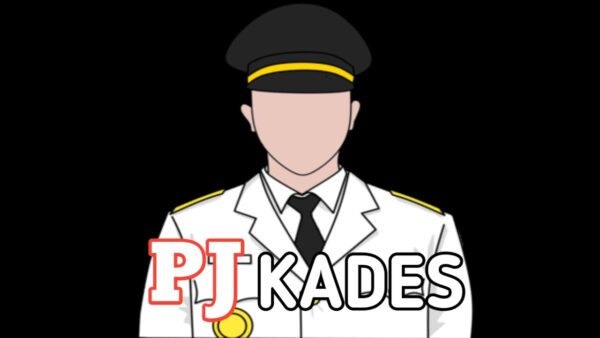 *Ramai Penunjukan Pj Kades dari Kalangan Guru dan Nakes di Lahat, Masyarakat dan Aktivis Angkat Suara minta BUPATI dan DPR bertindak tegas*