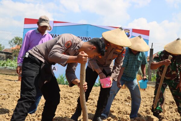 Polres Pamekasan Dukung Ketahanan Pangan, Penanaman Jagung Bersama Santri Serentak Se-Jatim