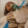 Tragedi Balita di Sukabumi: Prof. Sutan Nasomal Kecam Kelalaian Aparatur Desa