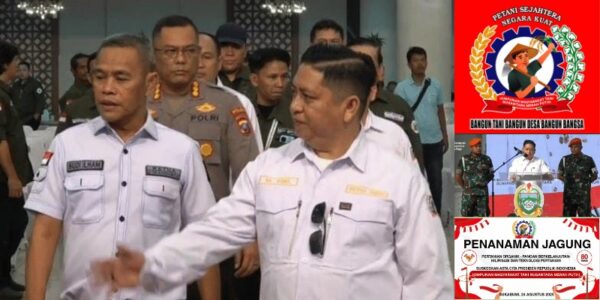 HMTN-MP, Perdana, Penanaman Jagung Hybrida, Sukabumi
