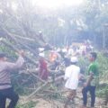 Respon Cepat, Kapolsek Palengaan Berserta Anggota Datangi Lokasi Bencana Alam Angin Puting Beliung
