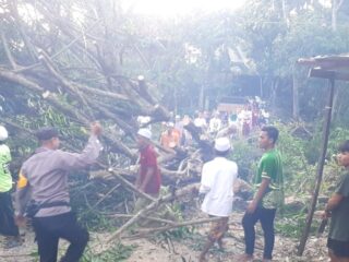 Respon Cepat, Kapolsek Palengaan Berserta Anggota Datangi Lokasi Bencana Alam Angin Puting Beliung