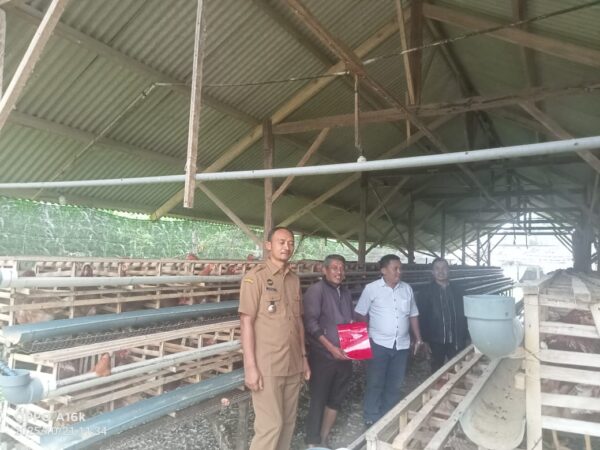 BUMDES Berkah Blado Kab Batang Targetkan Peningkatan PADes Melalui Usaha Peternakan Ayam Petelur, Diharapkan Menjadi Percontohan